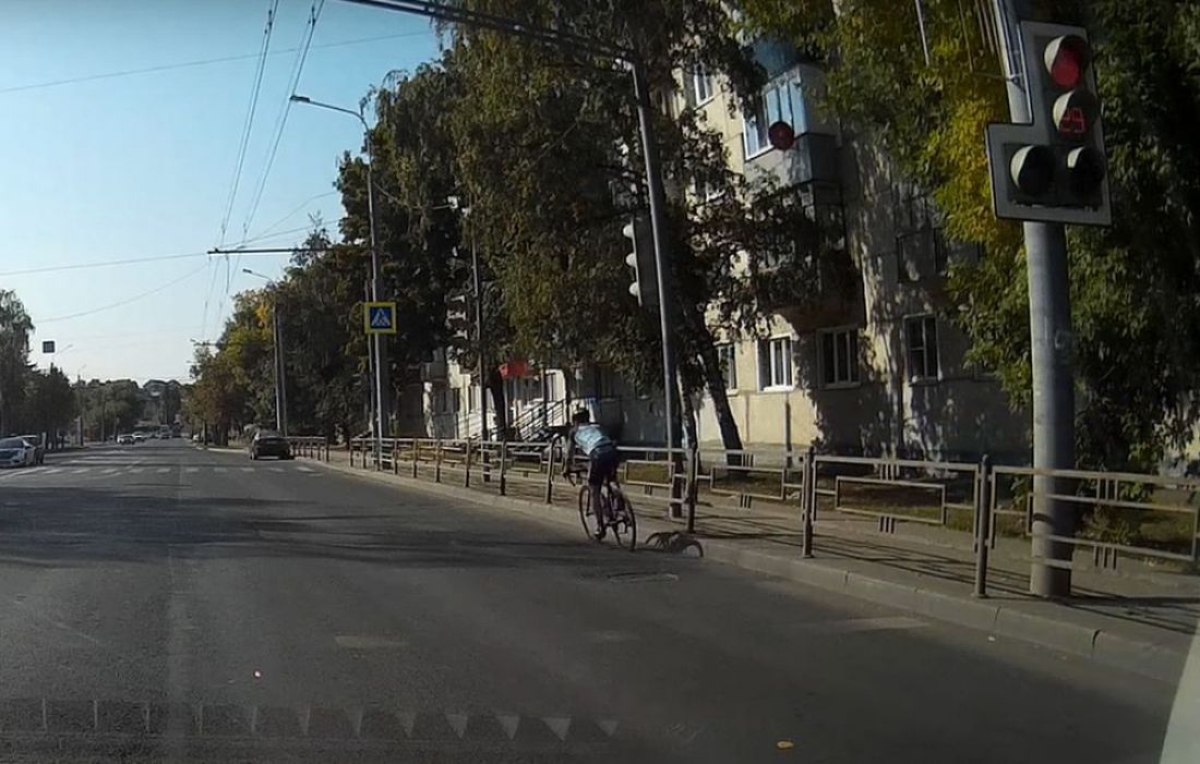 Пензенский велосипедист почувствовал себя «богом дороги». Видео