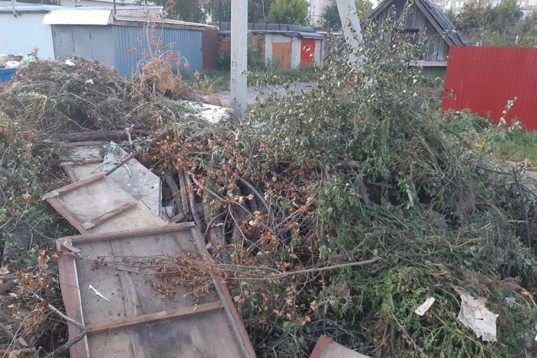 В Сердобске Пензенской области три месяца не ликвидируют свалку