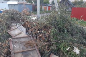 В Сердобске Пензенской области три месяца не ликвидируют свалку