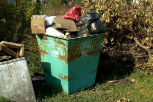 Жителя Пензенской области возмутил продолжительный невывоз мусора