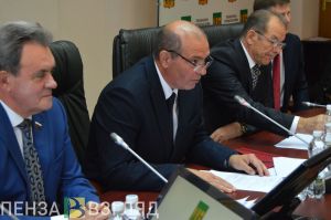 Владимир Мутовкин рассказал, чем будет заниматься в должности главы Пензы