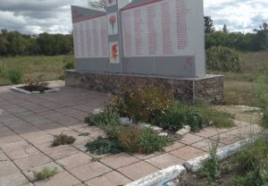 Жители Мокшанского района пожаловались на состояние памятника Победы