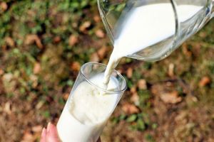 В России может резко подорожать молочная продукция