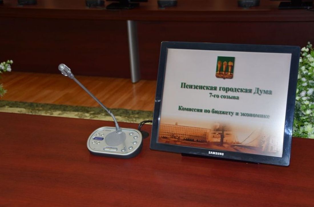 Пензенские депутаты скорректировали бюджет города на 2019 год