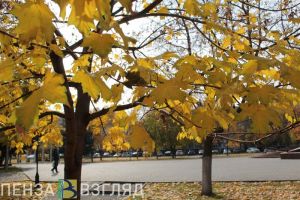 День учителя, эвакуация жильцов многоэтажки и осенняя ярмарка: новости Пензенской области за 5 октября