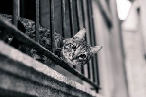В России выписан первый штраф любителю курить на балконе