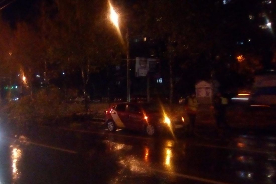 В порче автомобиля такси в Пензе винят сотрудников «зеленхоза». Фото