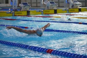 Пензенские пловцы выиграли 10 медалей на чемпионате и первенстве ПФО
