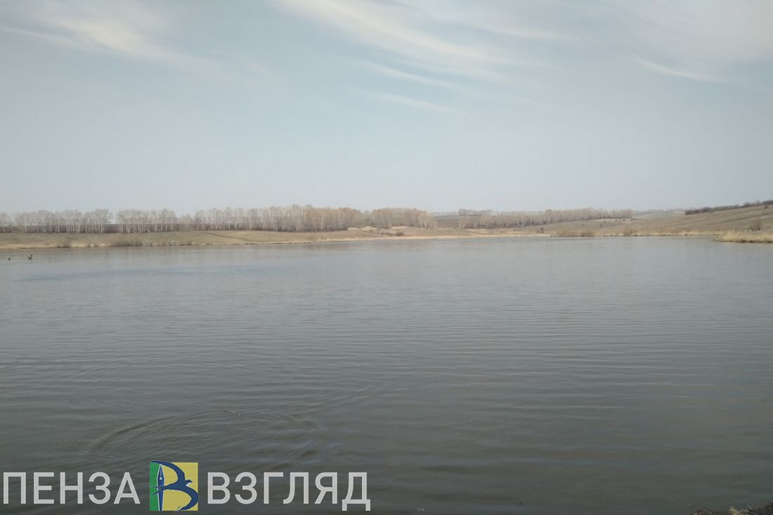 Убийство хозяина пруда, тело в коллекторе и отключение света: новости Пензенской области за 14 октября