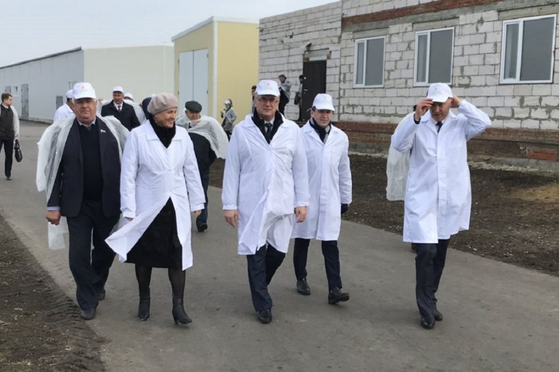 В Пензенской области началу работу современная птицефабрика