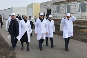 В Пензенской области началу работу современная птицефабрика