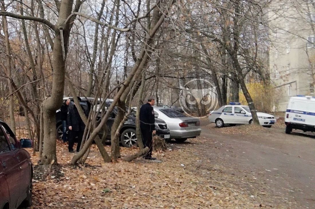 На Западной поляне в Пензе ночью «вскрыли» иномарку