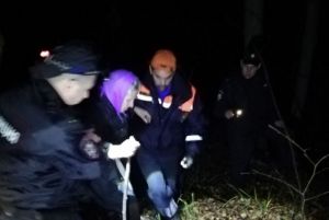 Поиски пенсионерки, вскрывшийся асфальт и ДТП у больницы: новости Пензы за 26 октября
