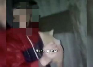 Малолетние пензенские изверги пинали котенка и смеялись