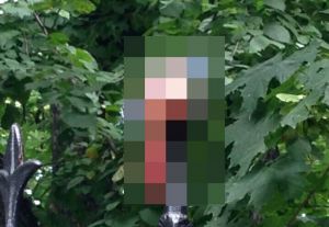 В соцсетях рассказали, как мужские тестикулы оказались на заборе в Кузнецке