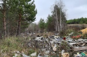 У Золотаревки в Пензенской области растет большая свалка. Фото