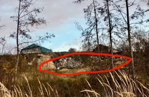 Пензенцы сетуют на мусорные кучи в районе автодрома «Вираж». Видео