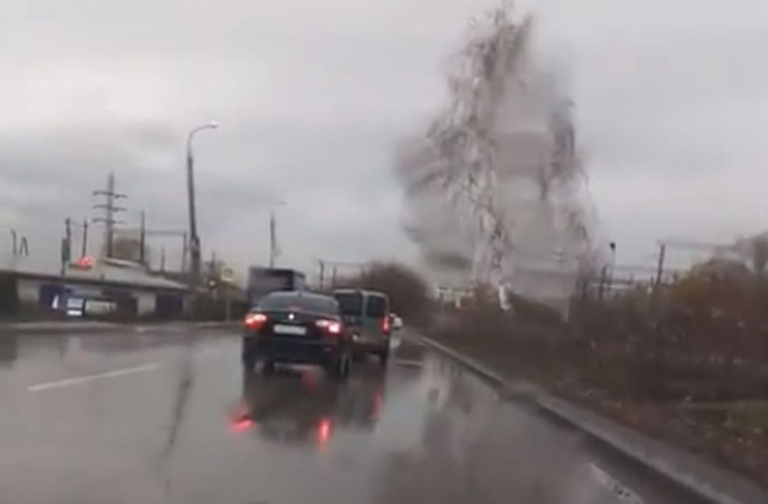 Видео в соцсети заставило пензенских водителей поспорить о «баранах»