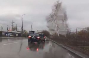 Видео в соцсети заставило пензенских водителей поспорить о «баранах»