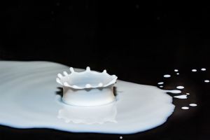 Стоит ли проверять продукты методами «диванных экспертов»?