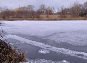 В Пензе на водоемах появился первый лед