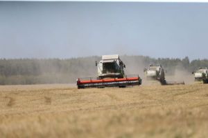 В Пензенской области получено около 2 миллионов тонн зерна