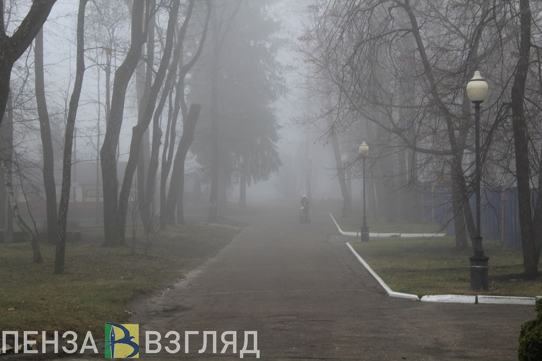 «Исчезнувший» собор, жесткое задержание и угнанная иномарка: новости Пензенской области за 14 ноября
