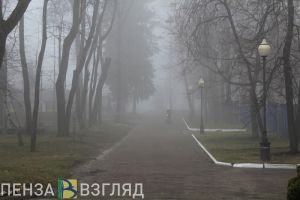 «Исчезнувший» собор, жесткое задержание и угнанная иномарка: новости Пензенской области за 14 ноября