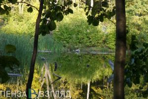 В пензенском ВУЗе прошла конференция юных исследователей окружающей среды