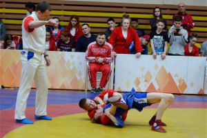 Пензенцы завоевали две «бронзы» на кубке России по самбо
