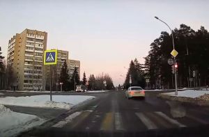 «Это лось был?» Поведению водителя в городе под Пензой удивились в Сети. Видео