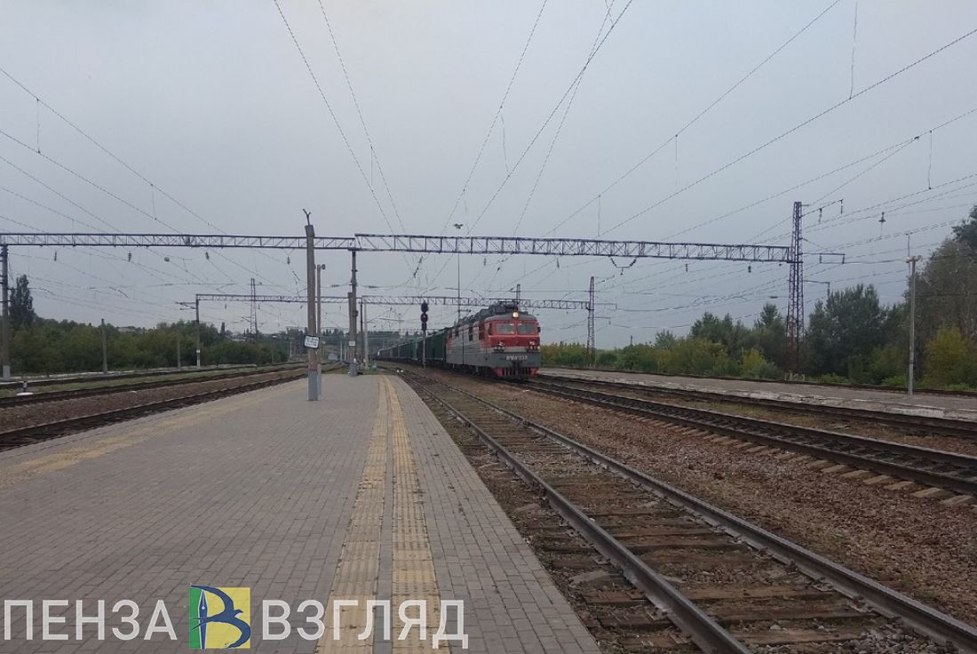 Спасение мужчины, победа на соревнованиях и жестокое убийство - новости Пензы за 10 декабря