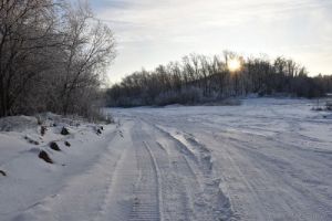 В Пензе перенесут место старта гонки «Лыжня России»