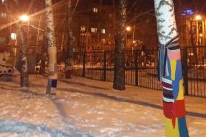 В пензенском детском саду деревья одели в нарядные кофточки