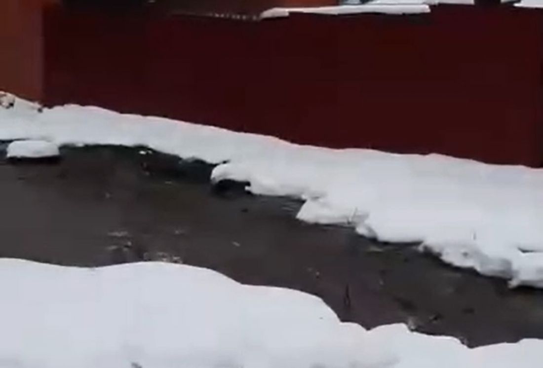 В пензенском районе Бугровка прорвало трубу водоснабжения. Видео