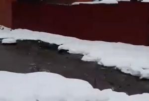 В пензенском районе Бугровка прорвало трубу водоснабжения. Видео