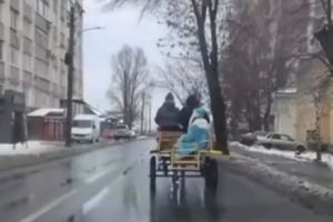 «За подарками едут». Пензенцы запечатлели повозку с Дедом Морозом