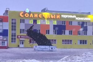Кузнечане высмеяли завалившуюся набок новогоднюю елку