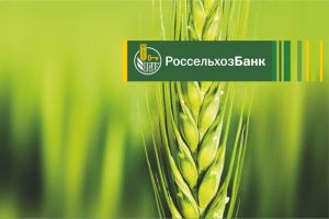 Александр Зимняков назначен директором Пензенского регионально филиала АО «Россельхозбанк»