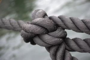 Пензенцев приглашают тянуть канат и поднимать гири