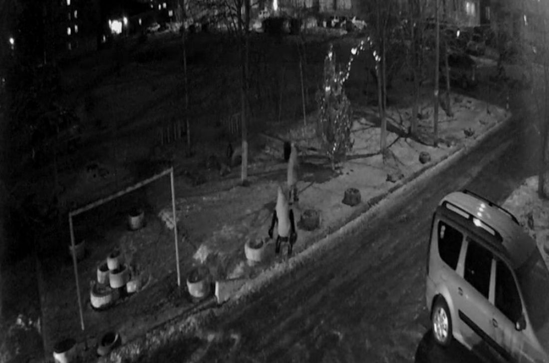 В Кузнецке Пензенской области малолетние вандалы порвали новогоднюю гирлянду