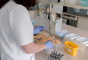 Случаи кори, ДТП с тремя детьми и приговор организаторам азартных игр: новости за 10 января