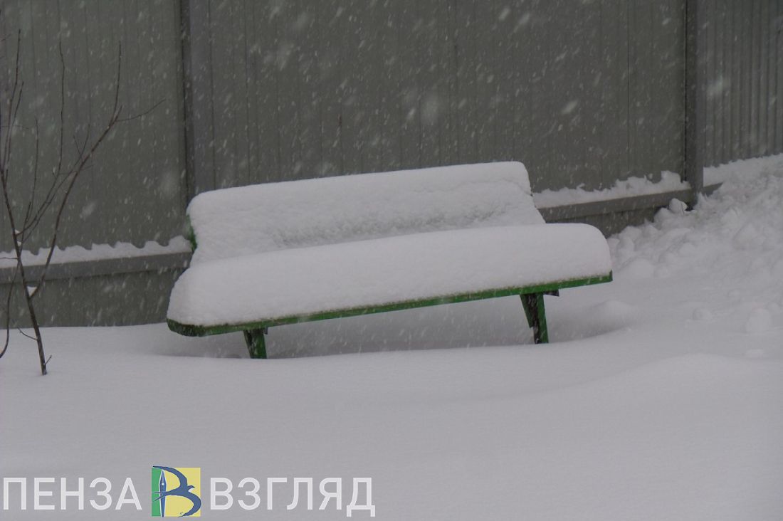 В Пензе в парке Белинского расскажут про «снегоманию»
