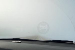 Пензенских водителей предупреждают о непроглядном тумане на дороге