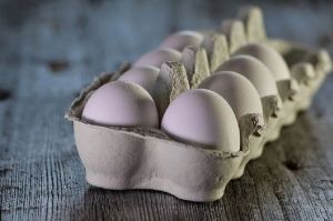 Пензенская область лидирует в ПФО по индексу цен на сельхозпродукцию