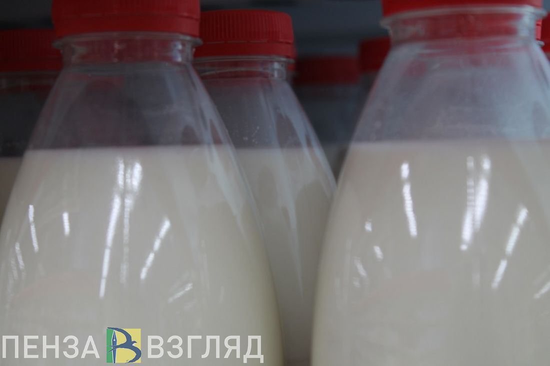 Пензенская область в числе лидеров по среднему надою молока