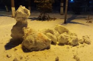 Жителей Каменки огорчили местные малолетние вандалы