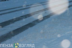 Пропавшая бабушка, трое детей без матери и «Лыжня России»: новости Пензенской области за 9 февраля