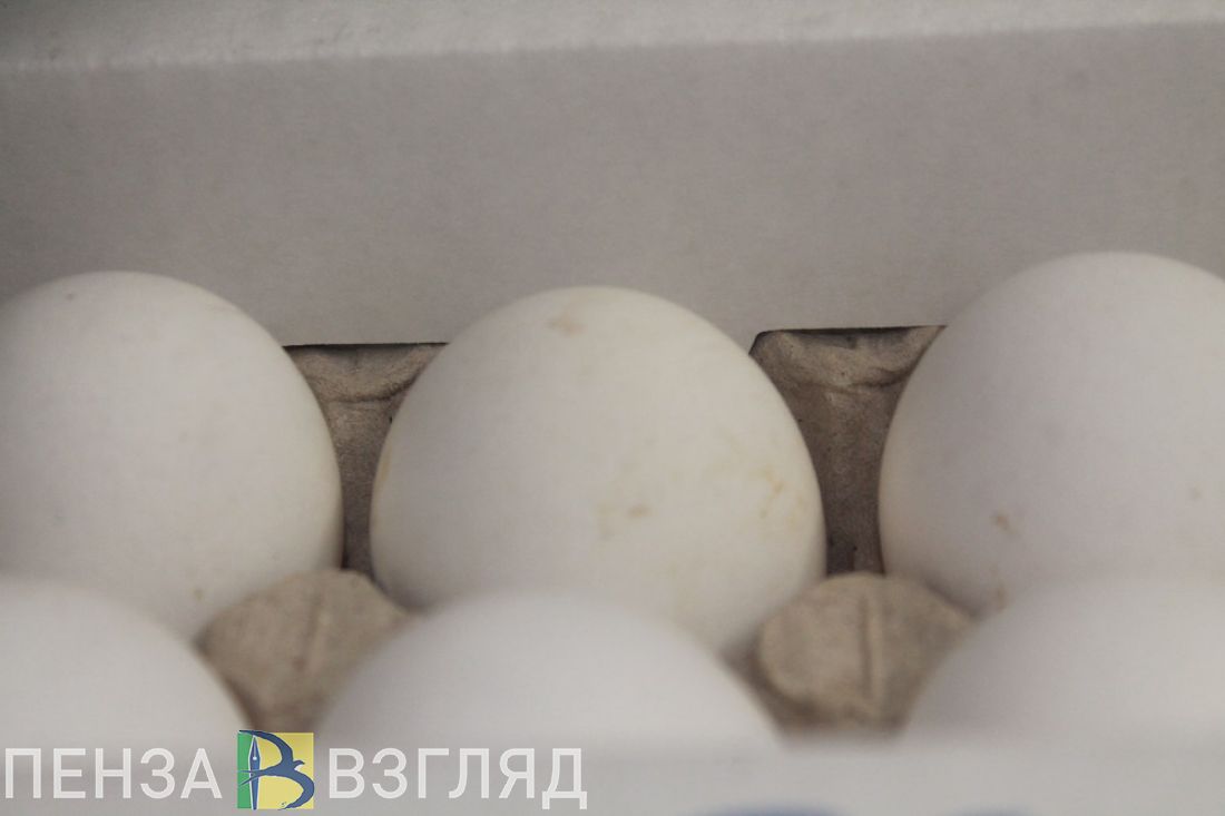 Показатели животноводства в Пензенской области выросли за январь