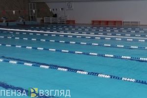 В Пензе подведены итоги городской Спартакиады по плаванию